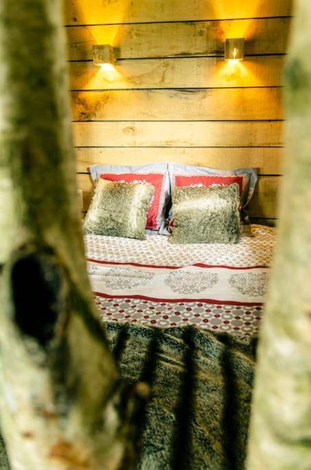 La Cabane Du Cerf Et Son Sauna Attre Extérieur photo